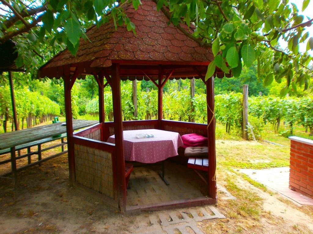 Klara Vendeghaz Villa Badacsonyors ภายนอก รูปภาพ